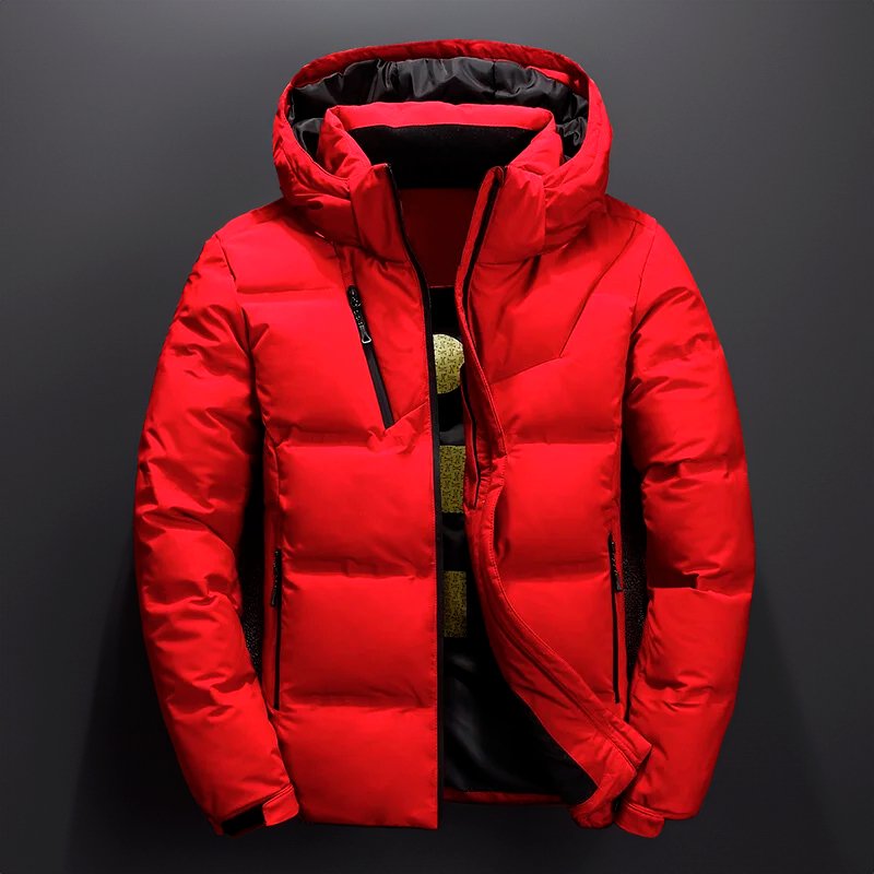 Men's Downtown Puffer Jacket - Hayes Carter